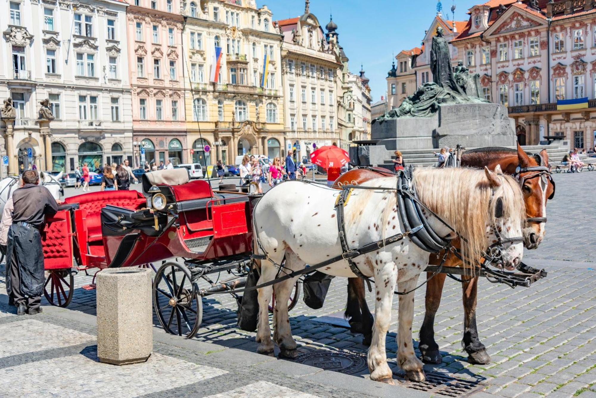 Homestay 50M From Wenceslas Square Prag Exterior foto